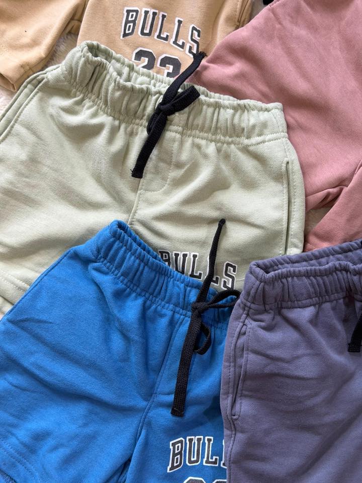 Bulls 23 Everyday Shorts